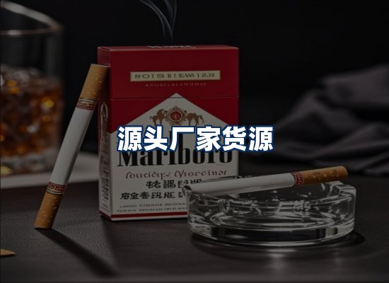 专业团队办公环境